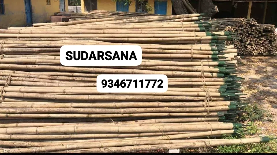 10 feet Bamboo Poles for Tent Setup, Weddings & Event Decorations